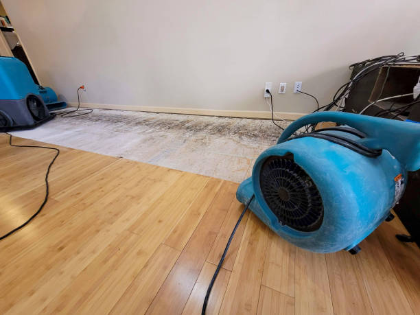 Professional Water Damage Repair technician working in Portland, ME